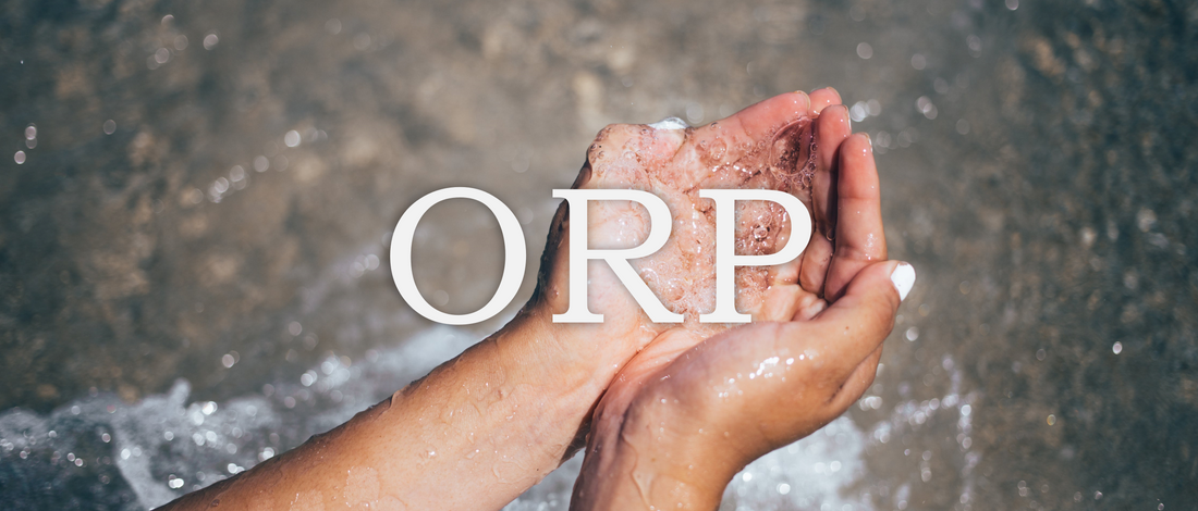 What is ORP?